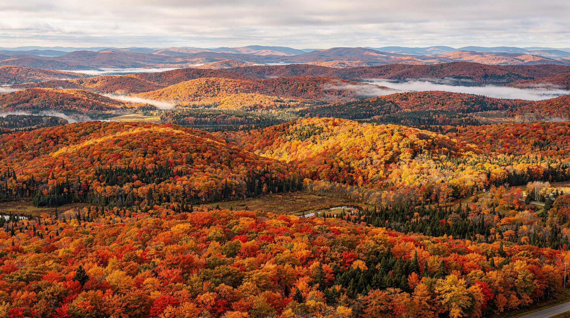 Suivi du feuillage d'automne au Québec 2025 : quand les couleurs ont atteint leur pic, région par région — Feuillage automne Québec 2025 : dates de pic dans les Laurentides, Charlevoix, C