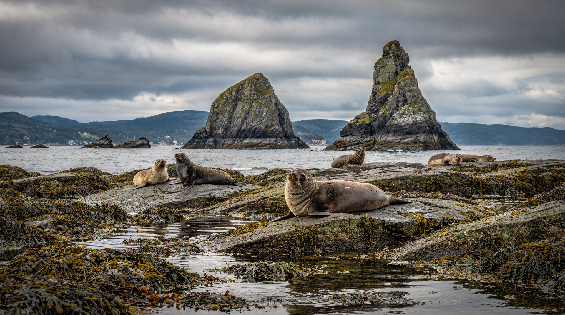 Parque Nacional du Bic, Québec