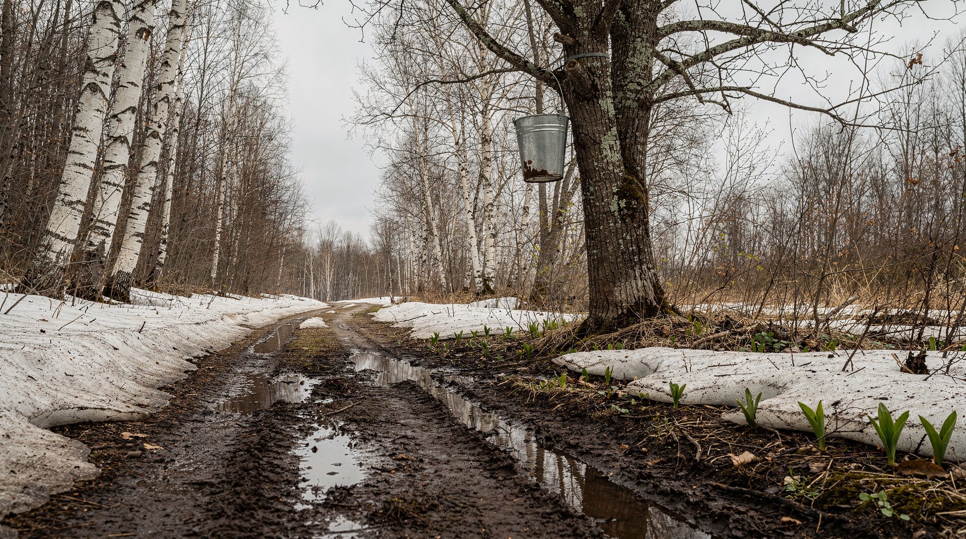 Québec en avril : saison des boues, bonnes affaires et premiers signes du printemps — Québec en avril : saison des boues, prix réduits, dernières cabanes à sucre et p