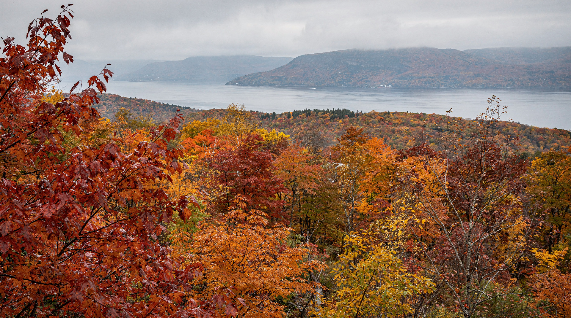 Québec en octobre : feuillage au sommet et Action de grâce — Octobre est le pic du feuillage au Québec : Charlevoix du 1 au 15 octobre, Canto
