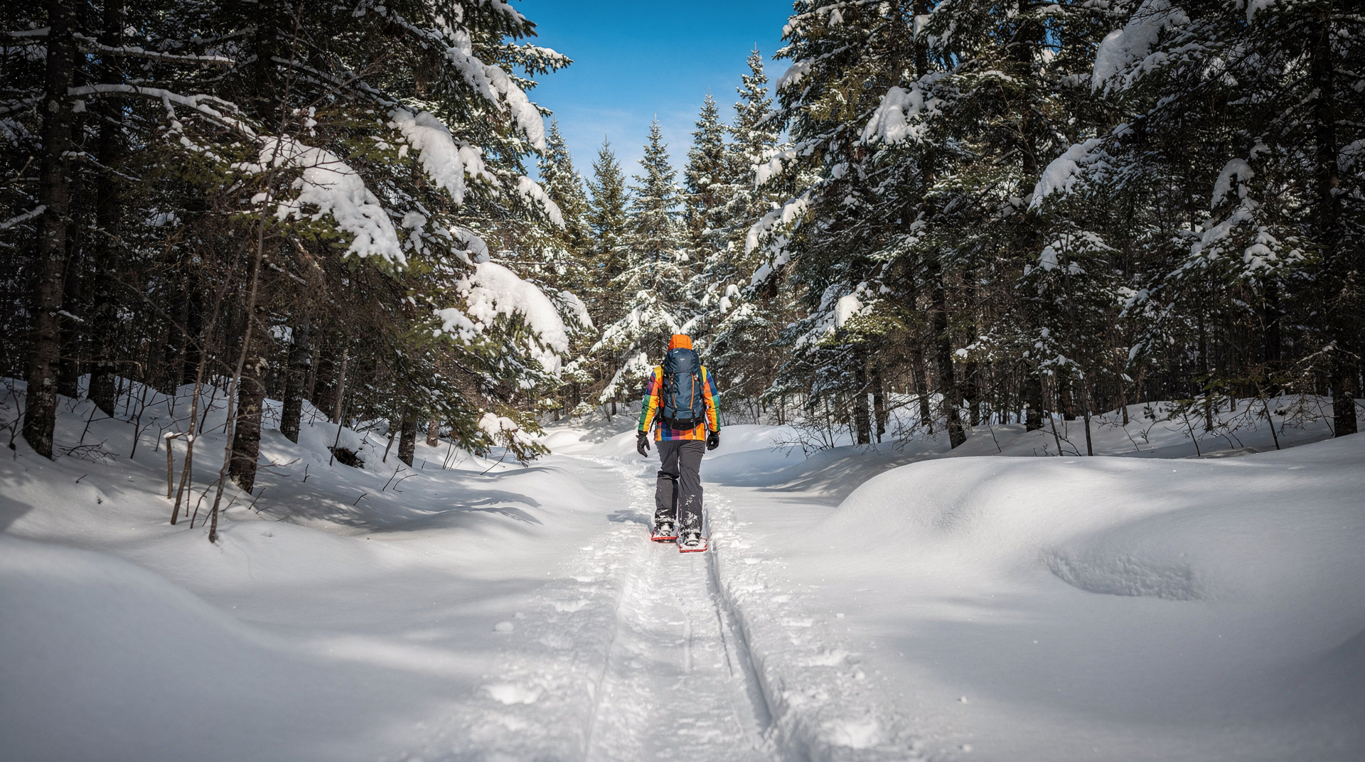 Snowshoeing in Québec: from city parks to backcountry