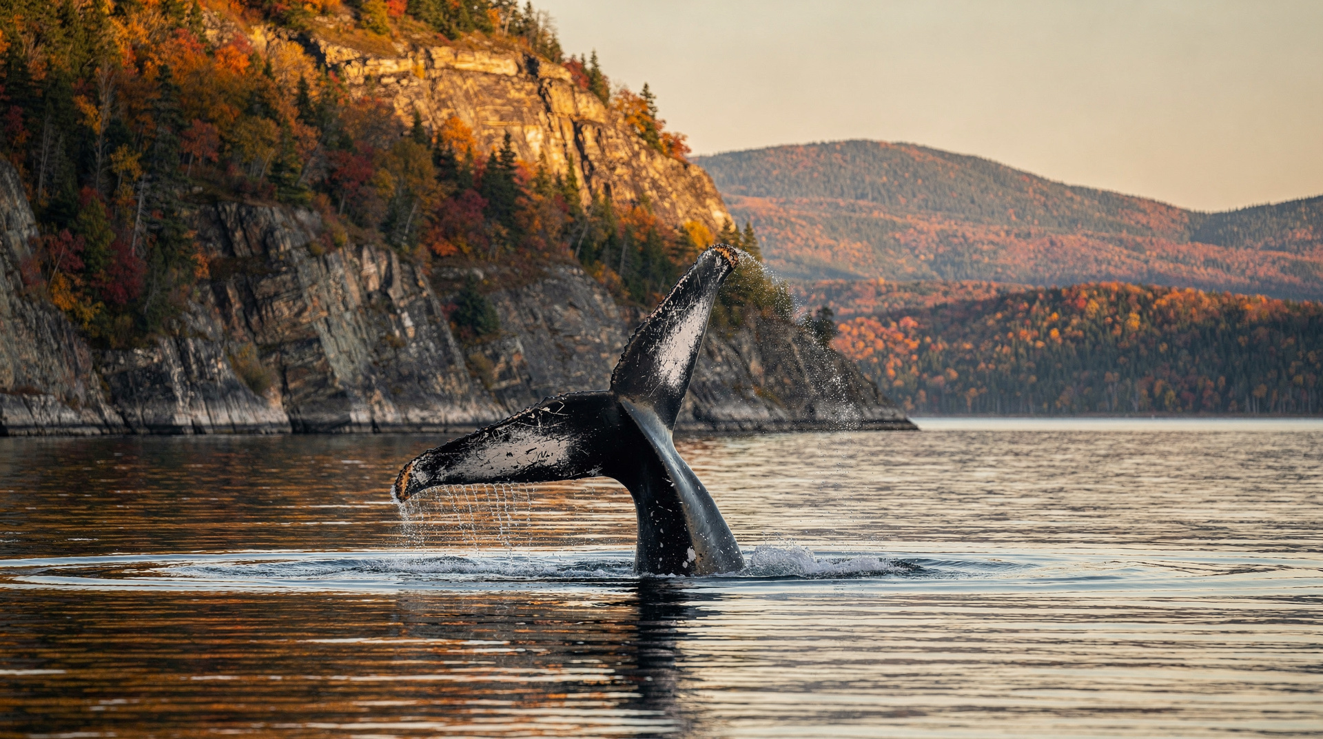 Québec 10 días: gran tour (ballenas, fiordo, follaje) — Road trip de 10 días en Québec: Montréal, Tremblant, Québec City, Charlevoix, ba
