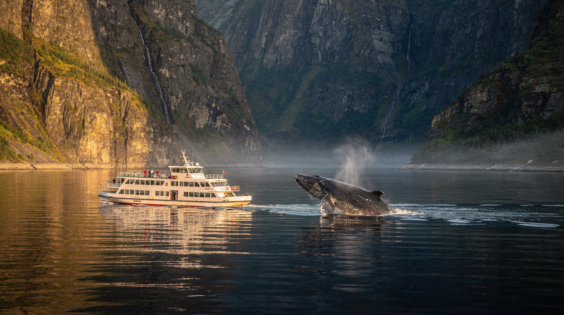 Québec 5 días: ballenas y fiordo — 5 días de ballenas y fiordo en Québec: Québec City, Charlevoix, ballenas en Tado