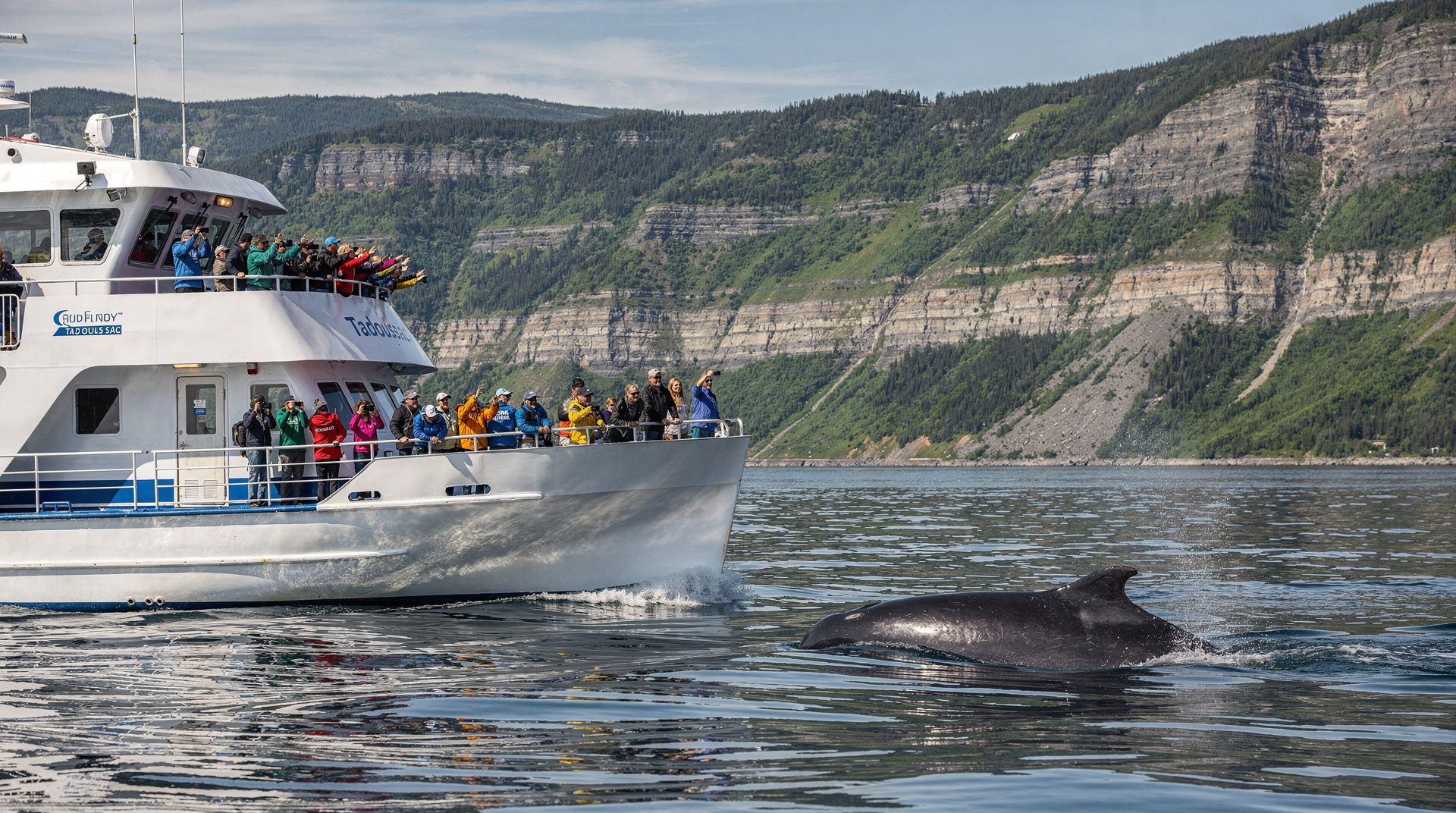 Tadoussac Walbeobachtung Bootstour: ehrliche Bewertung — Ehrliche Bewertung der Tadoussac 3-Stunden-Walbeobachtung auf dem großen Boot: S